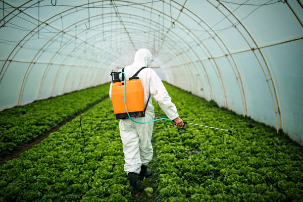 Best Affordable Exterminators  in Augusta, GA