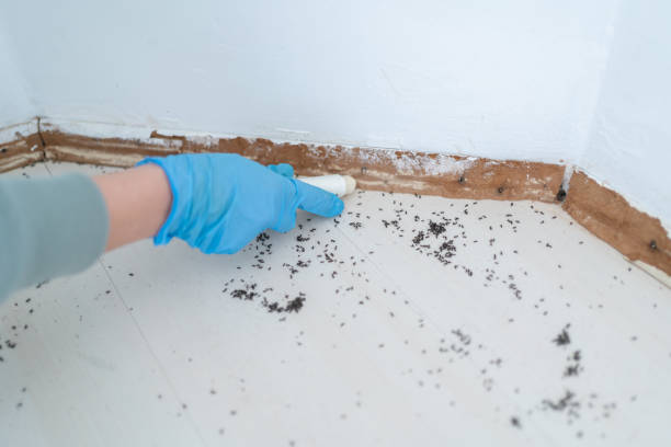 Best Residential Pest Control  in Augusta, GA