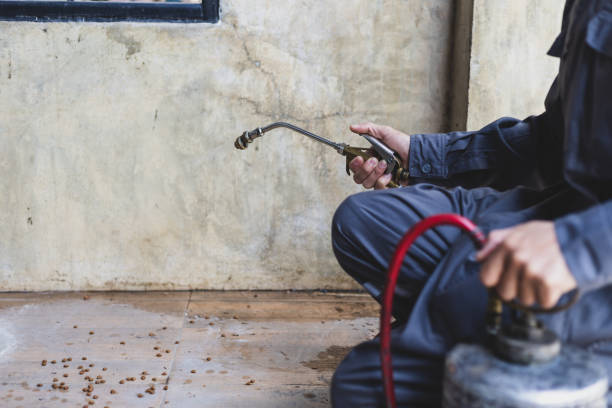 Best Best Pest Control Companies  in Augusta, GA
