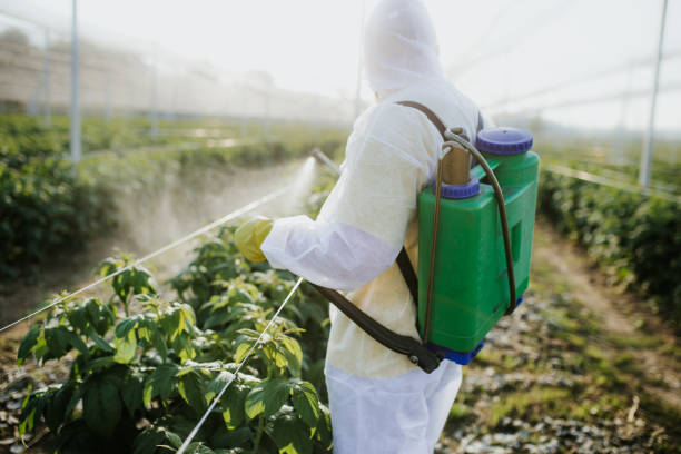 Best Pest Removal Services  in Augusta, GA